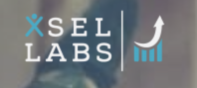 SEL LAbs 